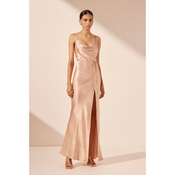 Shona Joy Dresses & Skirts - Shona Joy La Lune Bias Maxi Dress in Desert Rose Size 4 Cowl Neck Front Split